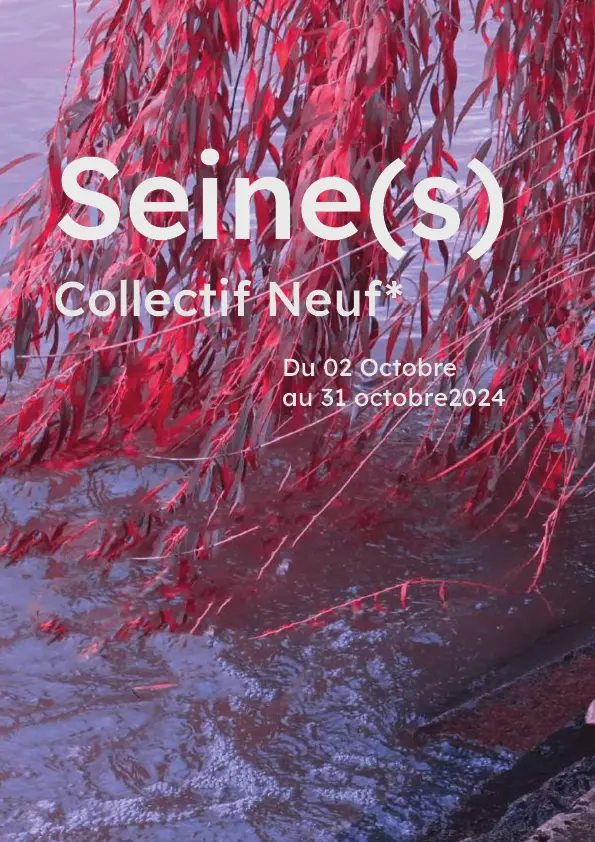 SEINE(S)